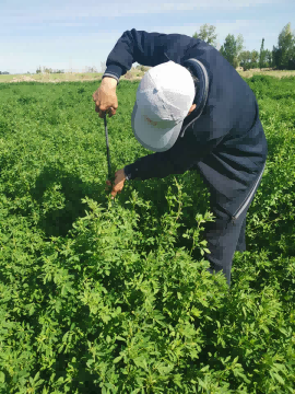润农节水 润农节水