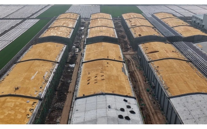 开局争先！湖北农发集团一季度喜迎“开门红”