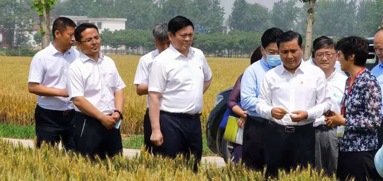 润农节水 润农节水