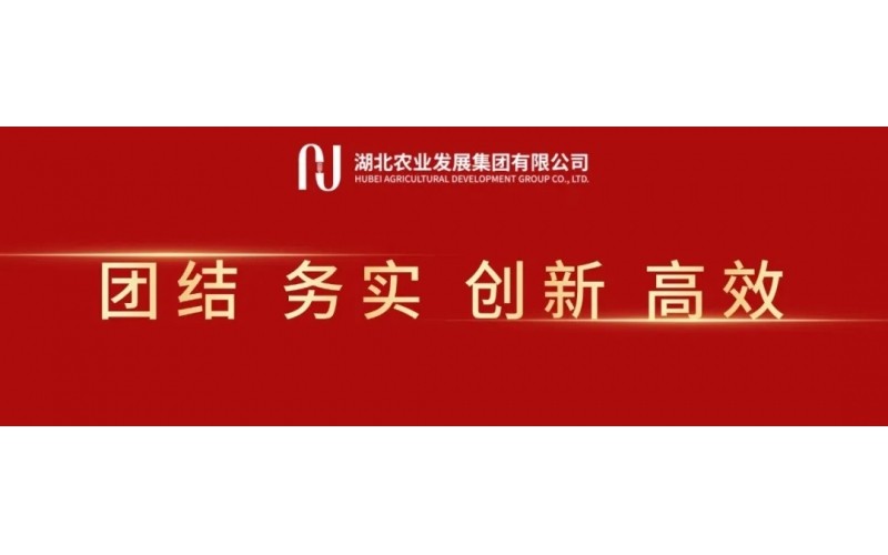 湖北农发集团召开党委（扩大）会 传达贯彻全省集中整治违规吃喝动员部署会精神